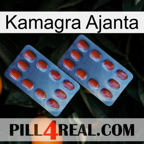 Kamagra Ajanta 05.jpg